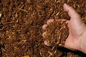 Super Best Quality mulch sold in Bristol